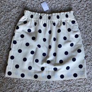 J. Crew skirt